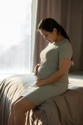 Air Purifiers Air Purifiers